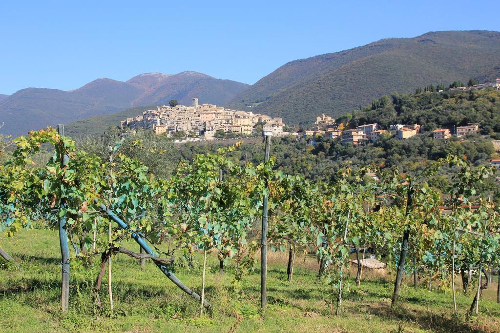 B&B Colle Perrini Country House Casperia Exterior foto